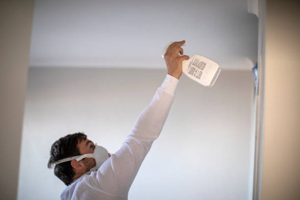 Attic Mold Removal in Nitro, WV