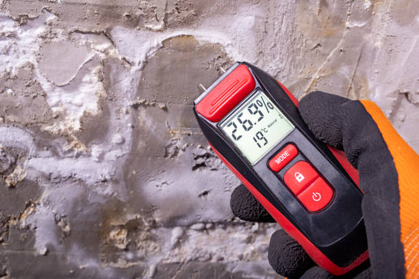 Best Commercial Mold Removal  in Nitro, WV